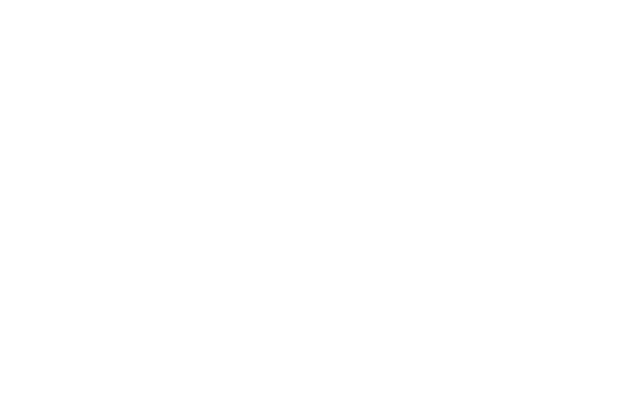 overview image 1